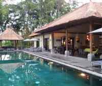 Villa Condense, Lap Pool